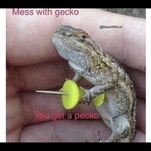 Meet your Posher, Jules